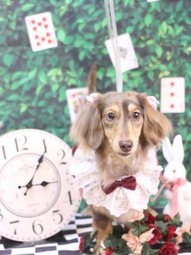 20250427エマちゃん